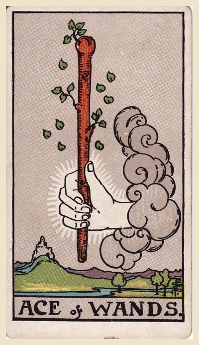 Asso di Bastoni – carta dei tarocchi