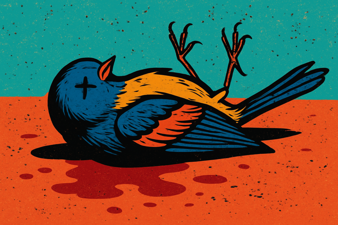Uccellino morto