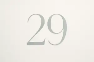 Il significato del numero 29